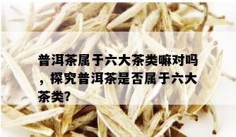 普洱茶属于六大茶类嘛对吗，探究普洱茶是否属于六大茶类？