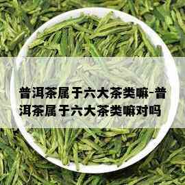 普洱茶属于六大茶类嘛-普洱茶属于六大茶类嘛对吗