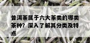 普洱茶属于六大茶类的哪类茶种？深入了解其分类及特点