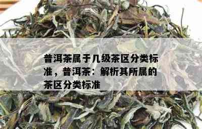 普洱茶属于几级茶区分类标准，普洱茶：解析其所属的茶区分类标准