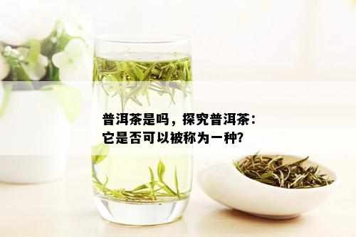 普洱茶是吗，探究普洱茶：它是否可以被称为一种？