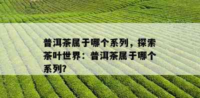 普洱茶属于哪个系列，探索茶叶世界：普洱茶属于哪个系列？