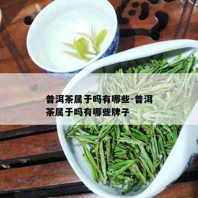 普洱茶属于吗有哪些-普洱茶属于吗有哪些牌子