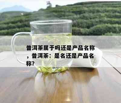 普洱茶属于吗还是产品名称，普洱茶：是名还是产品名称？