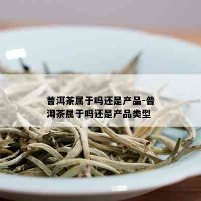 普洱茶属于吗还是产品-普洱茶属于吗还是产品类型