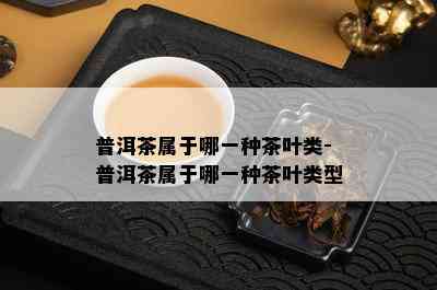 普洱茶属于哪一种茶叶类-普洱茶属于哪一种茶叶类型