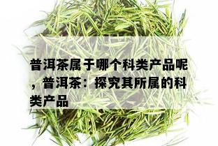 普洱茶属于哪个科类产品呢，普洱茶：探究其所属的科类产品