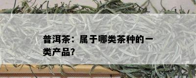 普洱茶：属于哪类茶种的一类产品？