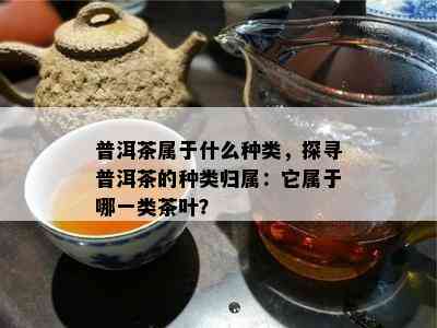 普洱茶属于什么种类，探寻普洱茶的种类归属：它属于哪一类茶叶？