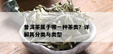 普洱茶属于哪一种茶类？详解其分类与类型