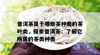 普洱茶属于哪些茶种类的茶叶类，探索普洱茶：了解它所属的茶类种类