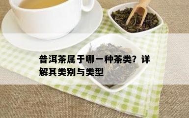 普洱茶属于哪一种茶类？详解其类别与类型