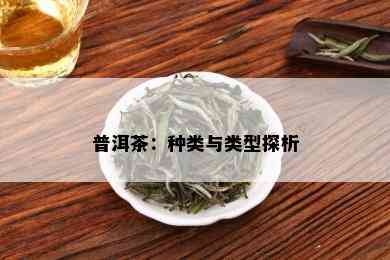 普洱茶：种类与类型探析