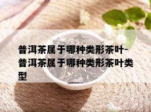 普洱茶属于哪种类形茶叶-普洱茶属于哪种类形茶叶类型