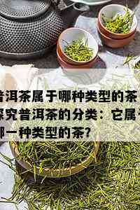 普洱茶属于哪种类型的茶，探究普洱茶的分类：它属于哪一种类型的茶？