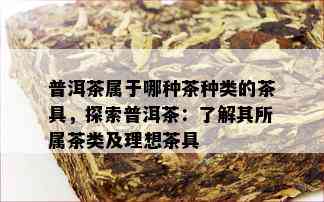 普洱茶属于哪种茶种类的茶具，探索普洱茶：了解其所属茶类及理想茶具