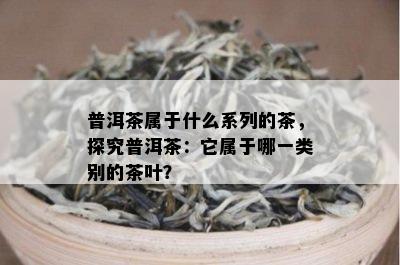 普洱茶属于什么系列的茶，探究普洱茶：它属于哪一类别的茶叶？