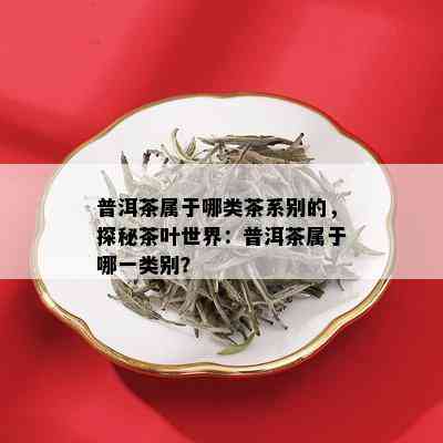 普洱茶属于哪类茶系别的，探秘茶叶世界：普洱茶属于哪一类别？