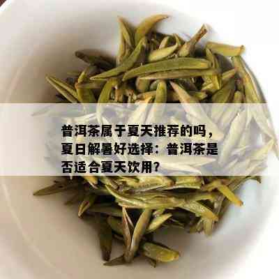 普洱茶属于夏天推荐的吗，夏日解暑好选择：普洱茶是否适合夏天饮用？