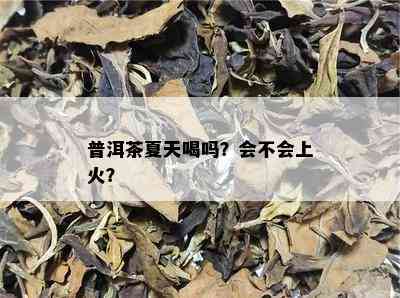 普洱茶夏天喝吗？会不会上火？