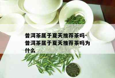 普洱茶属于夏天推荐茶吗-普洱茶属于夏天推荐茶吗为什么