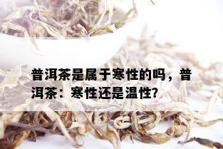 普洱茶是属于寒性的吗，普洱茶：寒性还是温性？