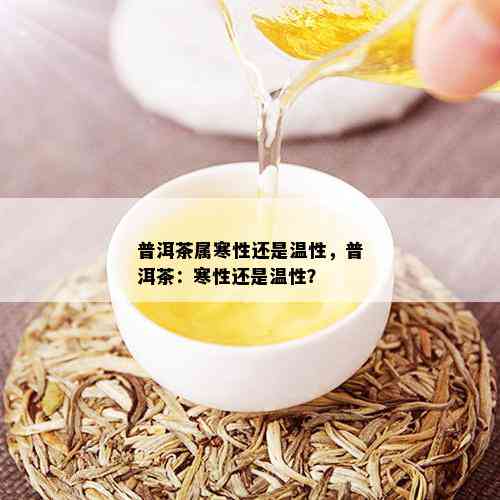 普洱茶属寒性还是温性，普洱茶：寒性还是温性？