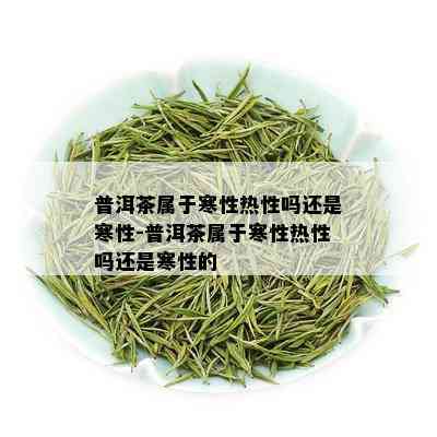 普洱茶属于寒性热性吗还是寒性-普洱茶属于寒性热性吗还是寒性的