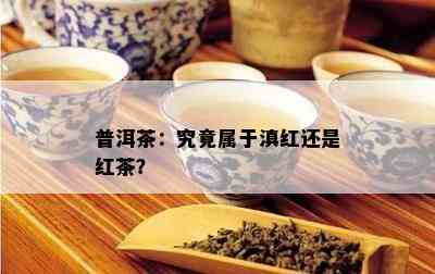 普洱茶：究竟属于滇红还是红茶？