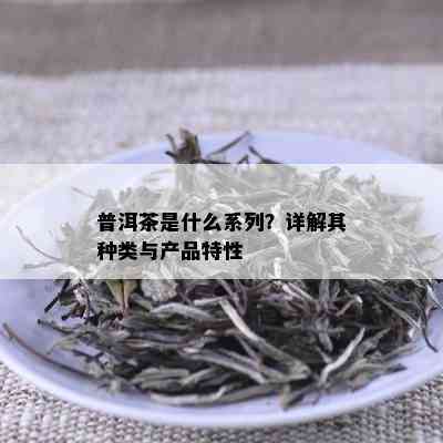 普洱茶是什么系列？详解其种类与产品特性