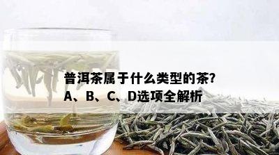 普洱茶属于什么类型的茶？A、B、C、D选项全解析