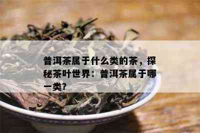 普洱茶属于什么类的茶，探秘茶叶世界：普洱茶属于哪一类？