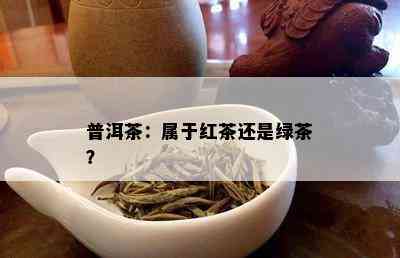 普洱茶：属于红茶还是绿茶？