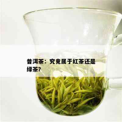 普洱茶：究竟属于红茶还是绿茶？