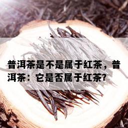 普洱茶是不是属于红茶，普洱茶：它是否属于红茶？