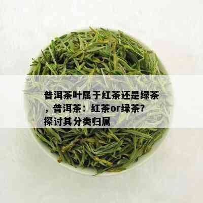 普洱茶叶属于红茶还是绿茶，普洱茶：红茶or绿茶？探讨其分类归属