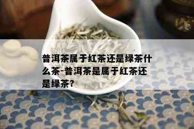 普洱茶属于红茶还是绿茶什么茶-普洱茶是属于红茶还是绿茶?