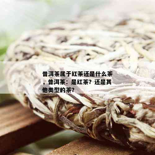 普洱茶属于红茶还是什么茶，普洱茶：是红茶？还是其他类型的茶？