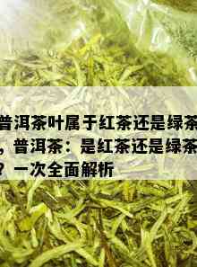 普洱茶叶属于红茶还是绿茶，普洱茶：是红茶还是绿茶？一次全面解析