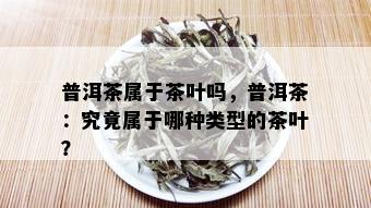 普洱茶属于茶叶吗，普洱茶：究竟属于哪种类型的茶叶？