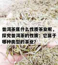 普洱茶属什么性质茶业呢，探究普洱茶的性质：它属于哪种类型的茶业？