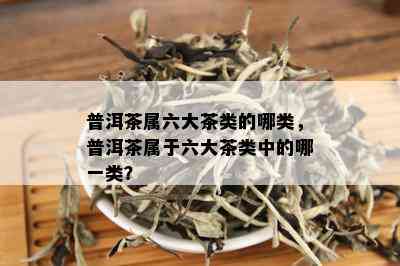 普洱茶属六大茶类的哪类，普洱茶属于六大茶类中的哪一类？