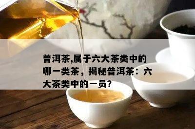 普洱茶,属于六大茶类中的哪一类茶，揭秘普洱茶：六大茶类中的一员？