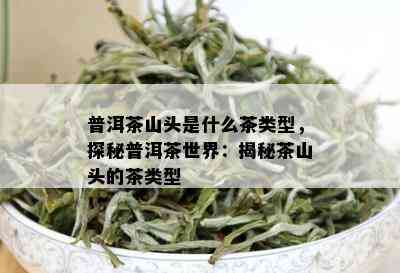 普洱茶山头是什么茶类型，探秘普洱茶世界：揭秘茶山头的茶类型