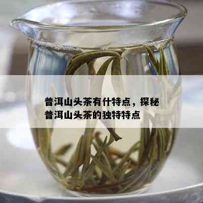 普洱山头茶有什特点，探秘普洱山头茶的独特特点