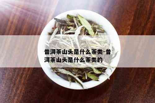 普洱茶山头是什么茶类-普洱茶山头是什么茶类的