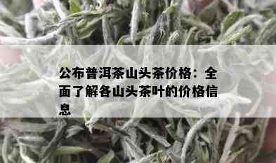 公布普洱茶山头茶价格：全面了解各山头茶叶的价格信息