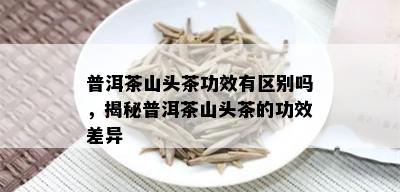 普洱茶山头茶功效有区别吗，揭秘普洱茶山头茶的功效差异