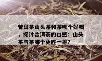 普洱茶山头茶和茶哪个好喝，探讨普洱茶的口感：山头茶与茶哪个更胜一筹？