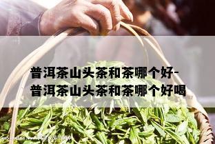 普洱茶山头茶和茶哪个好-普洱茶山头茶和茶哪个好喝